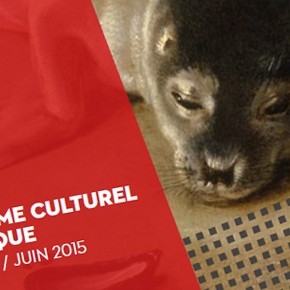 Programme culturel et artistique